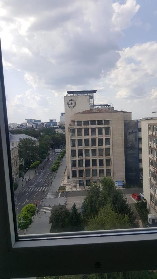 Calea Victoriei Studio Bükreş Dış mekan fotoğraf